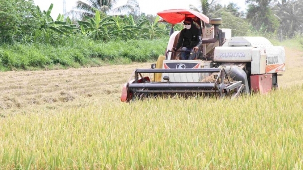 The first low-emission rice field in Tra Vinh to achieve VietGAP certification